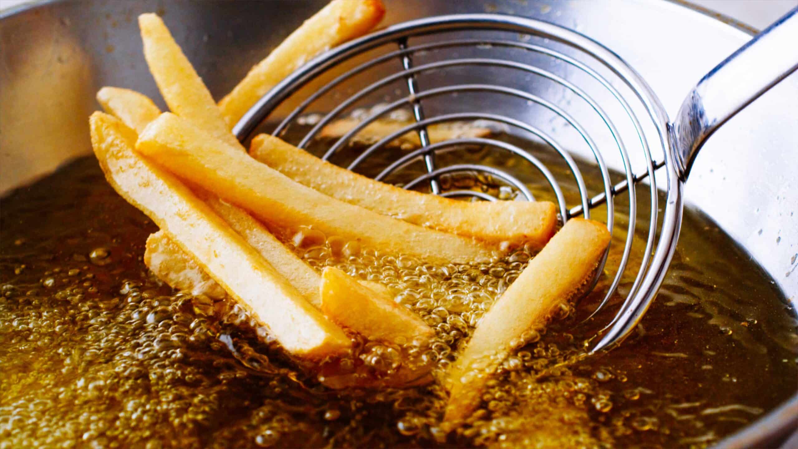 How to Choose the Right Fryer Oil - Restaurant Technologies