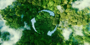 Trees and clouds with a recycling symbol