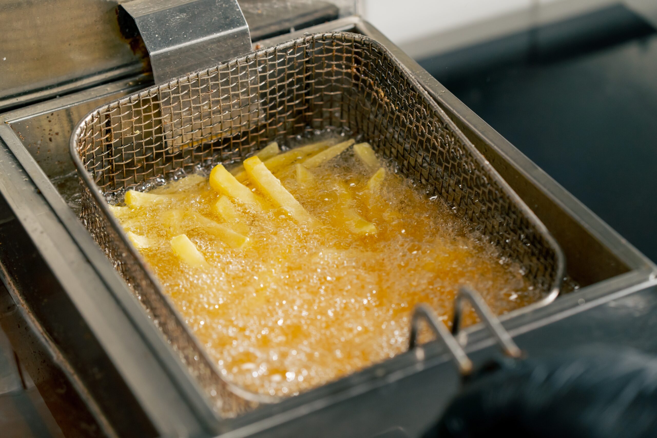 Choose Commercial Fryer